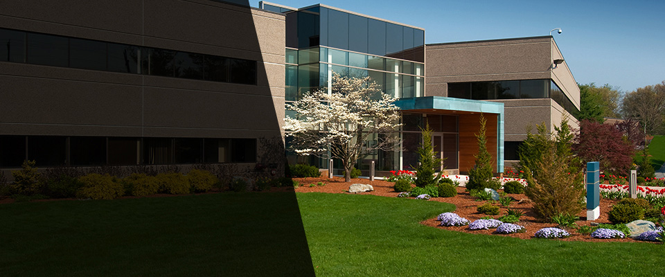 Mount Angel Landscapers