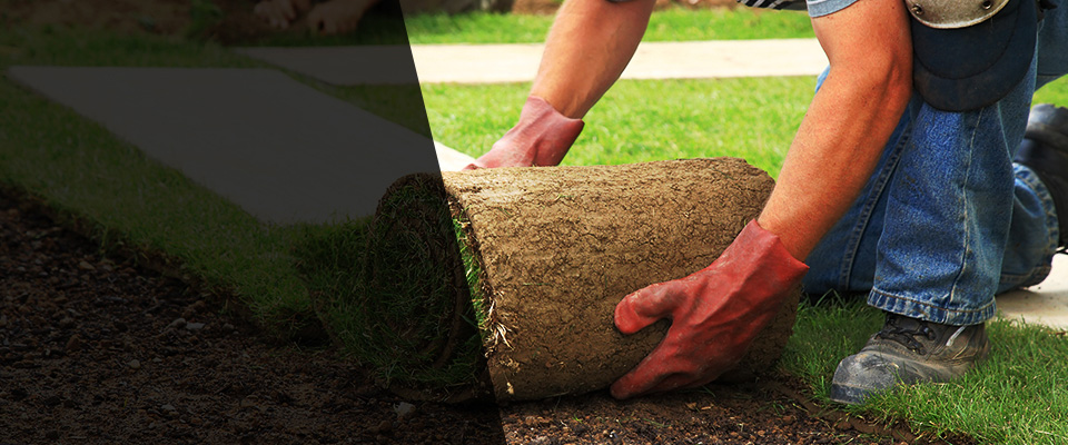 Mount Angel Landscapers